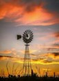 PRODUCTO 1 - CAMPO EN TRES ARROYOS